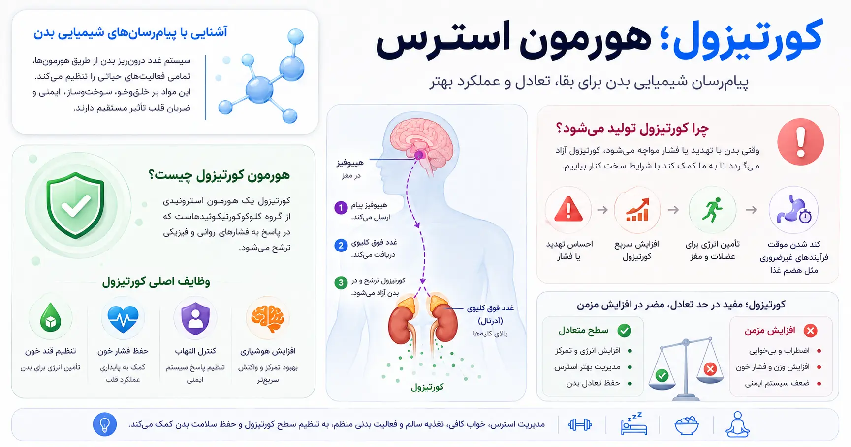 آشنایی با پیام‌رسان‌های شیمیایی بدن