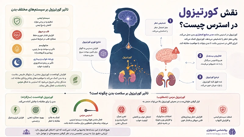 تاثیر استرس مزمن بر بدن و هورمون ها