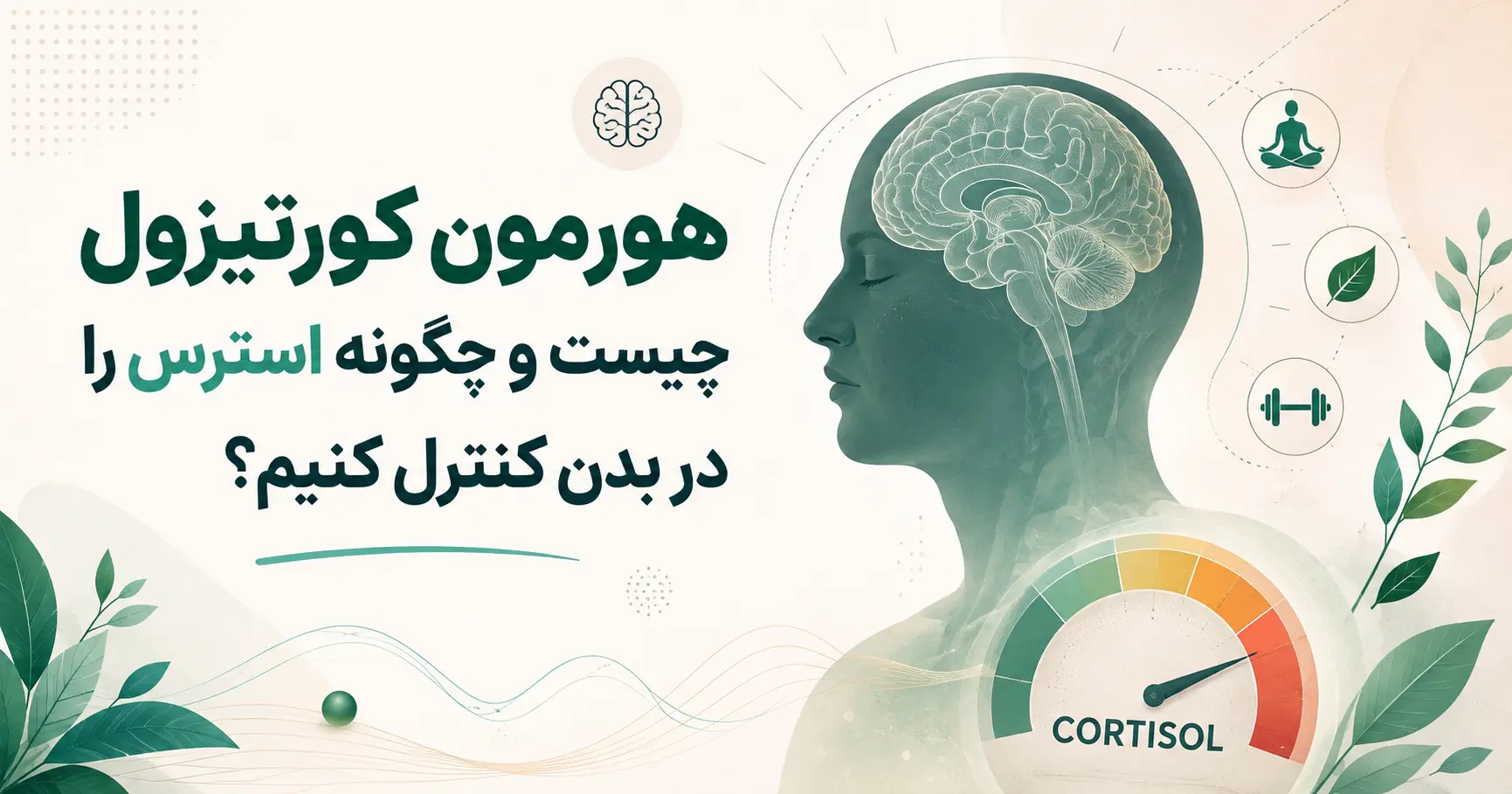 هورمون کورتیزول چیست و چگونه استرس را در بدن کنترل کنیم؟